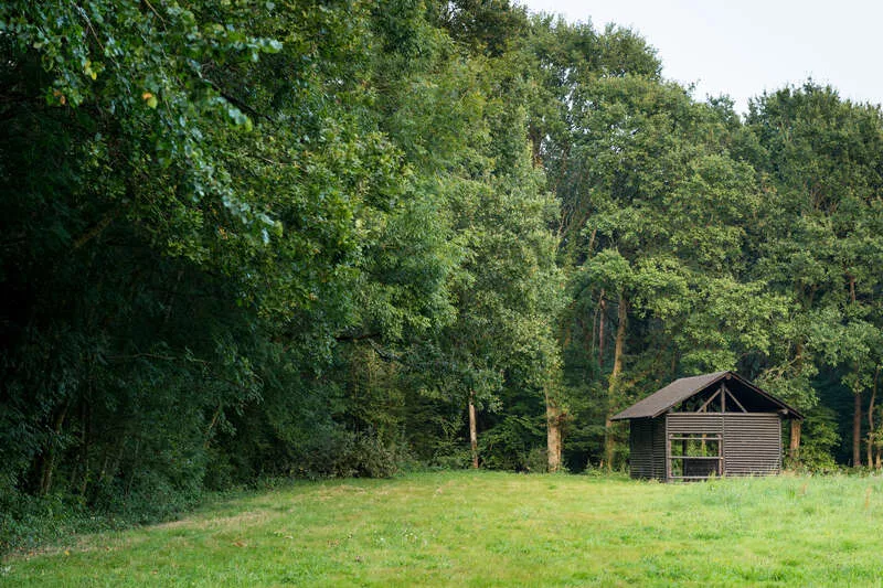 Photo du Bois de Soeuvres avec un cabanon en bois 