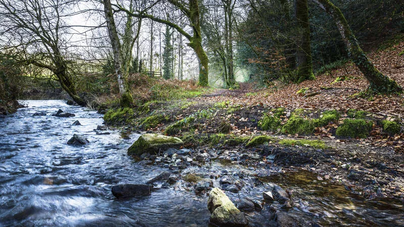 Photo de la vallée du Couesnon 