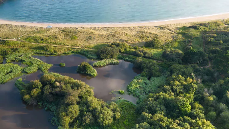 Photo de l'espace naturel de L'Anse du Verger 